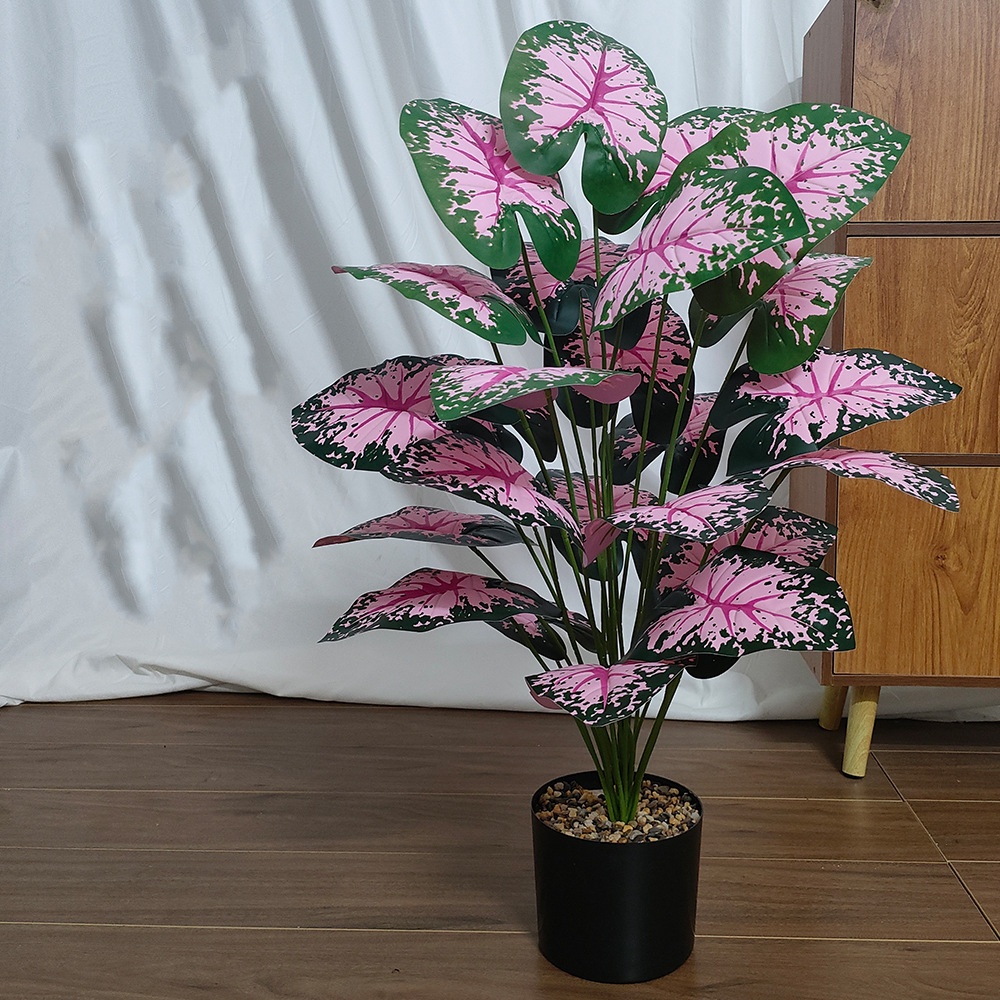 Pembe Yaprak Saksı Bitkileri S - Bonsai Garden Zen incelemesi ve fiyatı