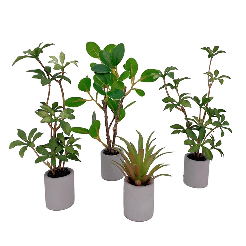 1:6 Evcilik Minyatür Saksı Bit - Bonsai Gardenia incelemesi ve fiyatı