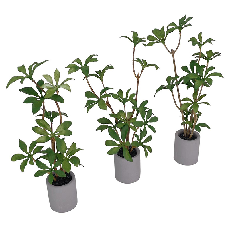 1:6 Evcilik Minyatür Saksı Bit - Bonsai Gardenia incelemesi ve fiyatı