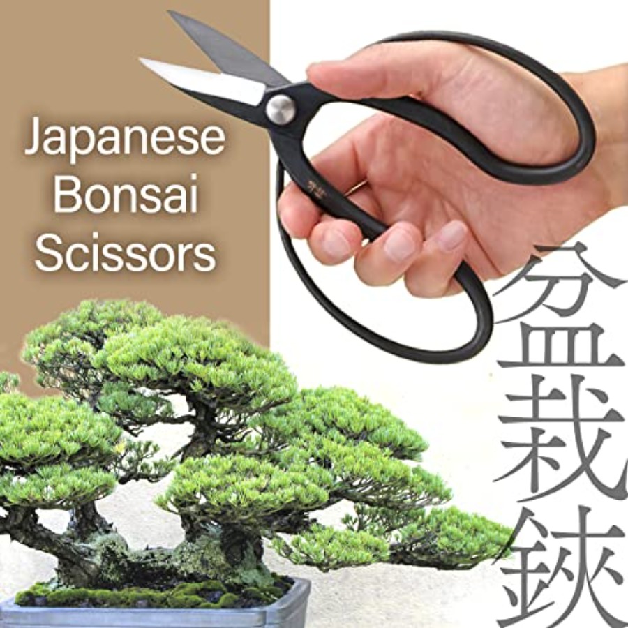 Japon Suiryu Bonsai Makası - G - Bonsai Garden Japan incelemesi ve fiyatı