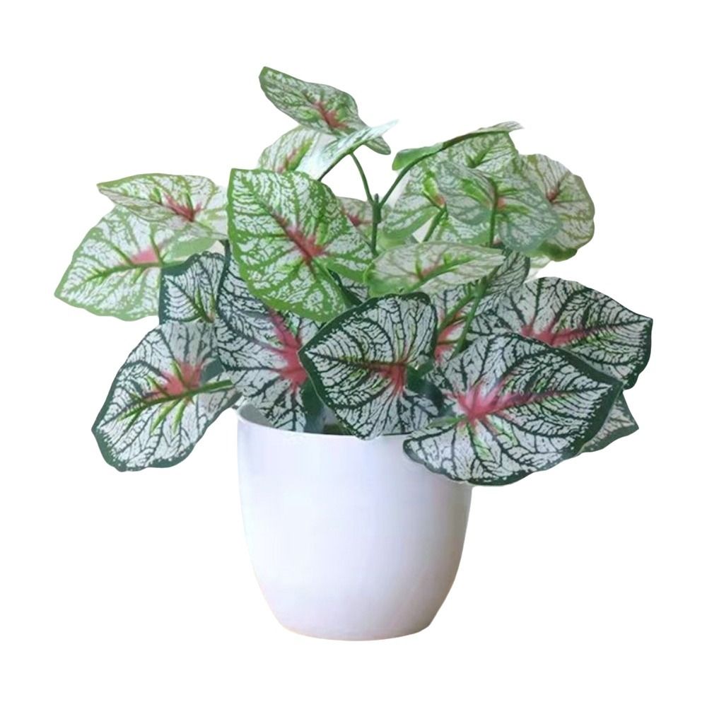 Mini Yapay Saksı Çiçekleri Bon - Bonsai Gardenia incelemesi ve fiyatı