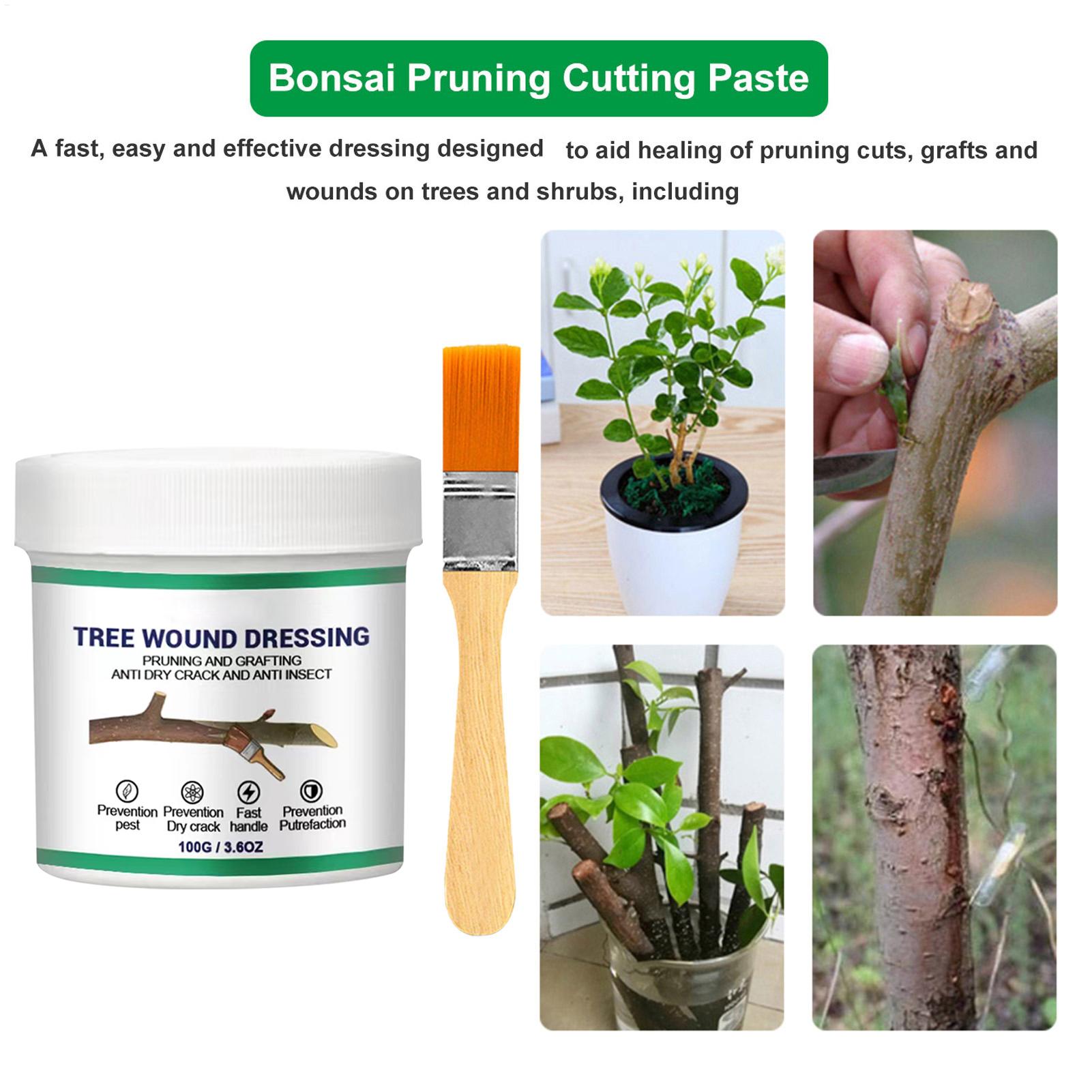 100g Ağaç Yara Sızdırmazlık Ma - Bonsai Garden Usa incelemesi ve fiyatı