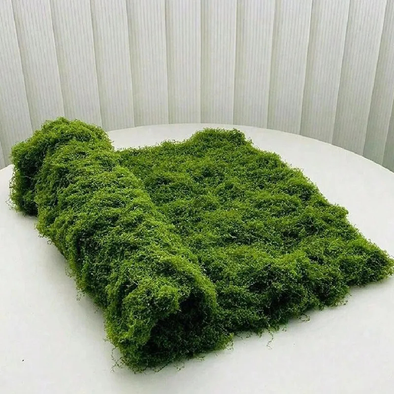 Mikro Peyzaj Dekorasyonu, Çim  - Bonsai Garden Zen incelemesi ve fiyatı