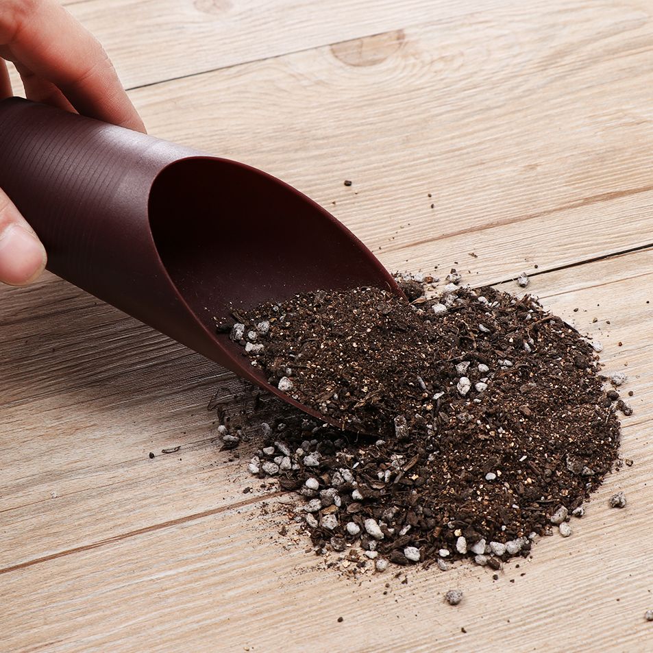 1 adet plastik toprak kürek ba - Bonsai Garden Zen incelemesi ve fiyatı